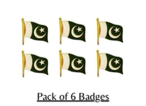 Pakistani Flag Set of 6 Metal 14th August Decor