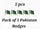 Pakistani Flag Metal Badges Set of 5 for 14th August