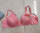 Silk Padded Bra with Embroidery for Daily Wear & Special Events