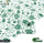 Premium Lawn Suit Green Floral 14th August Celebration